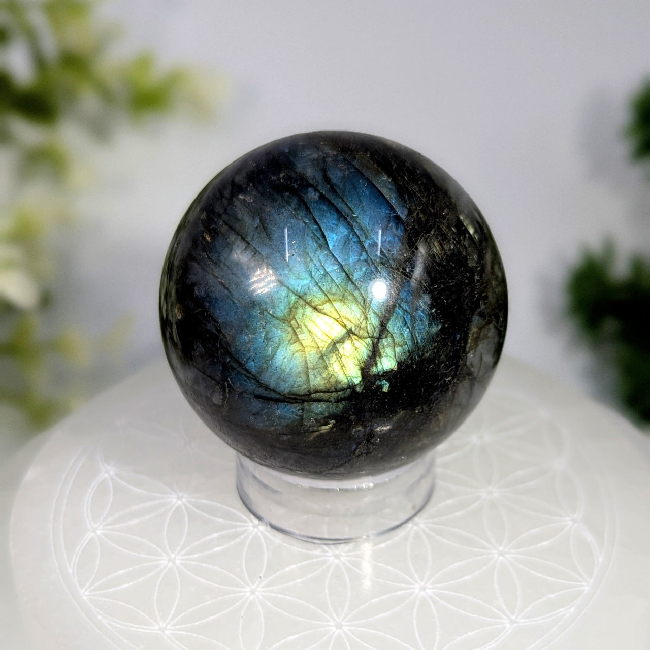 A polished black labradorite 2 inch sphere with iridescent blue and green flashes on a clear acrylic stand
