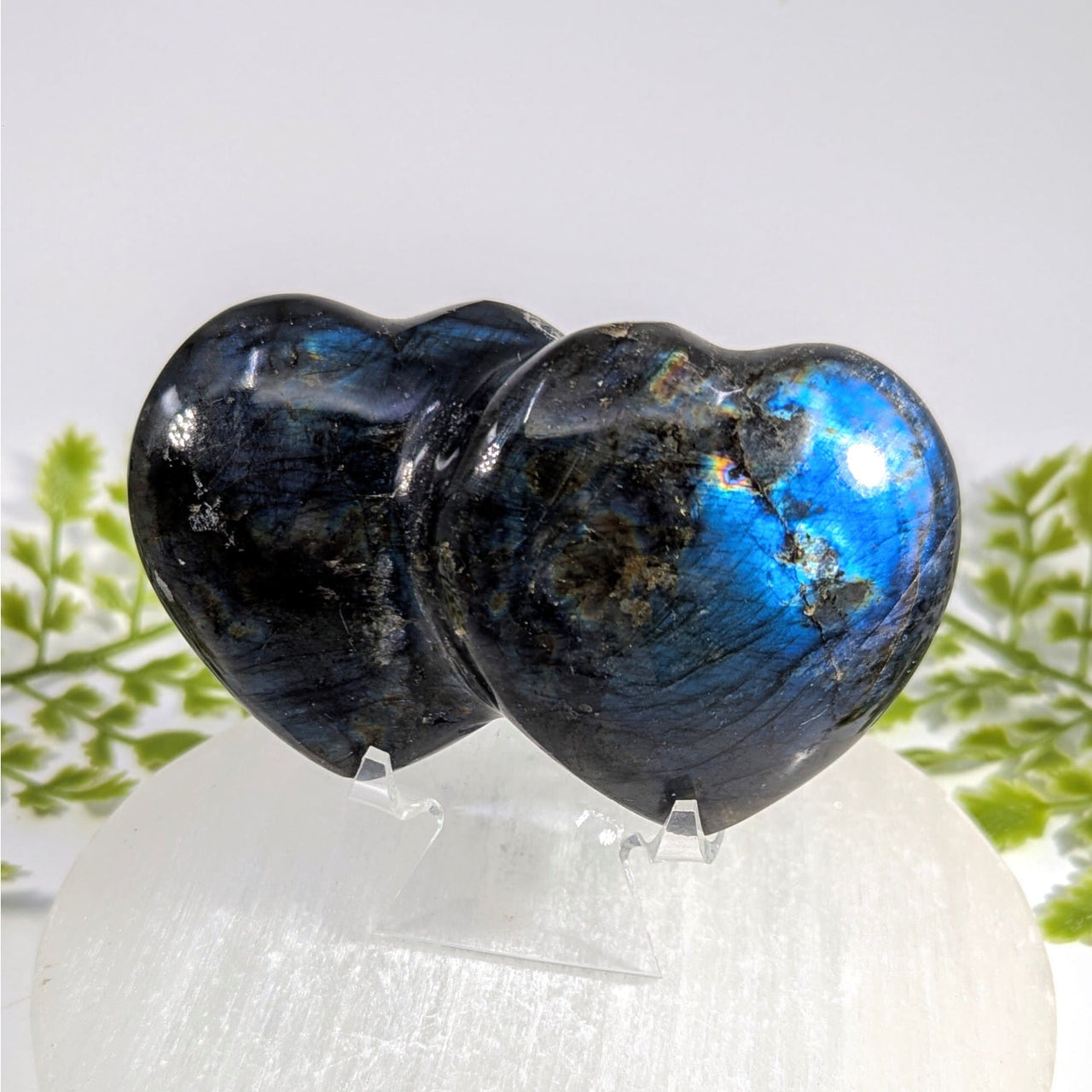 Labradorite 3.5" Double Heart #BC1477