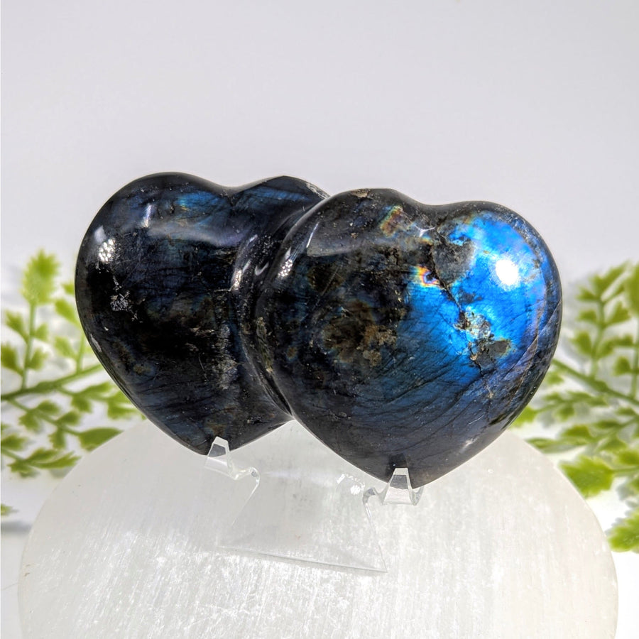 Labradorite 3.5" Double Heart #BC1477