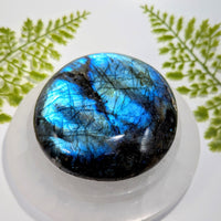 Labradorite 3.5-inch jumbo pebble #BC1050 with blue black iridescent shine