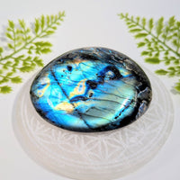 Labradorite 3.6’’ Pebble #BC1134 oval stone on selenite base