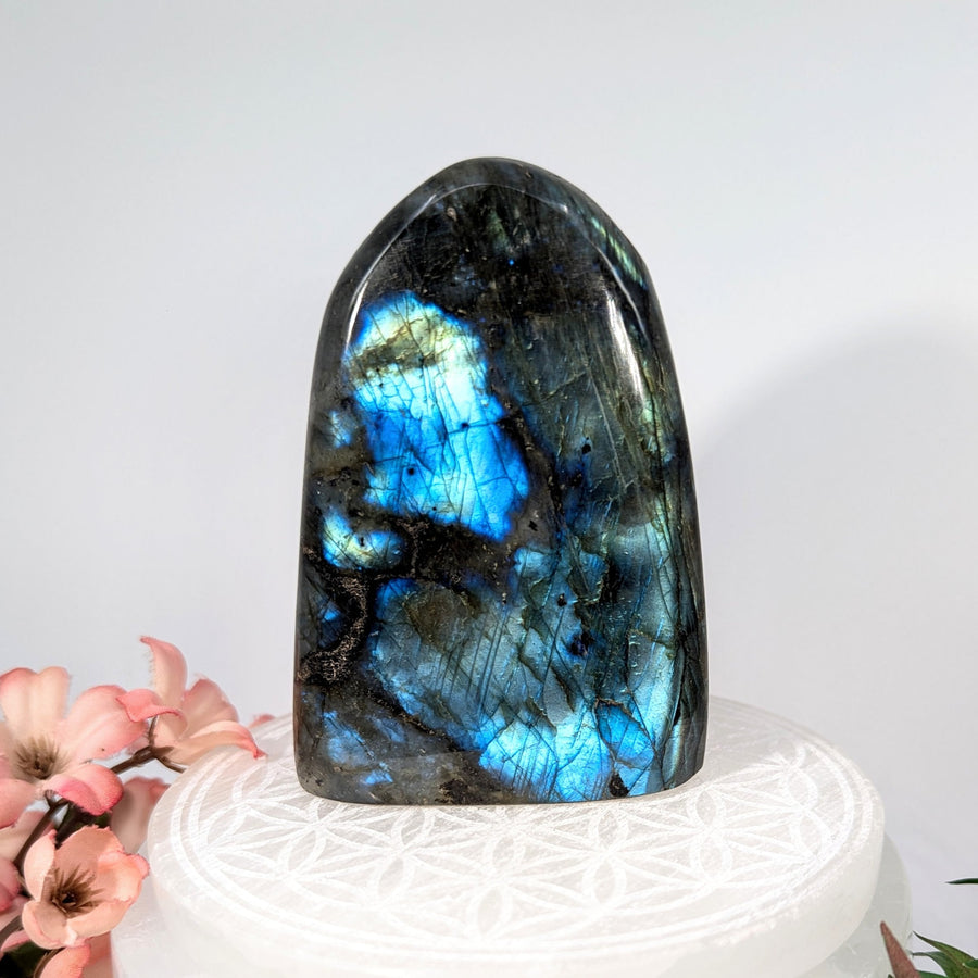 Polished Labradorite crystal with blue iridescence in a 3.8-inch Freeform shape