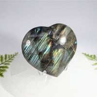 A polished 3 inch heart-shaped labradorite gemstone with shimmering blue and green hues perfect for jewelry and crystals
