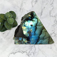 Thumbnail for Close-up of Labradorite 4.7’ Half Polished Specimen #LV5701 with plant in the background