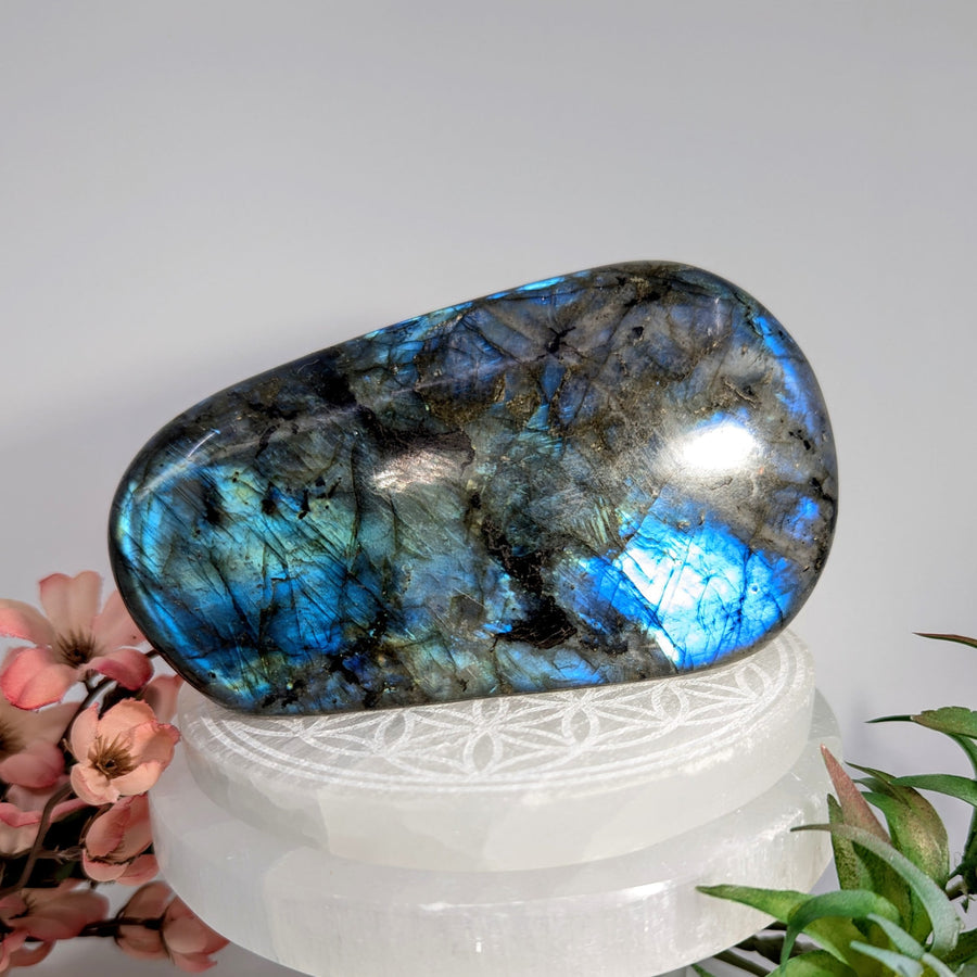 Polished Labradorite stone with blue iridescence in a 4.9-inch freeform shape