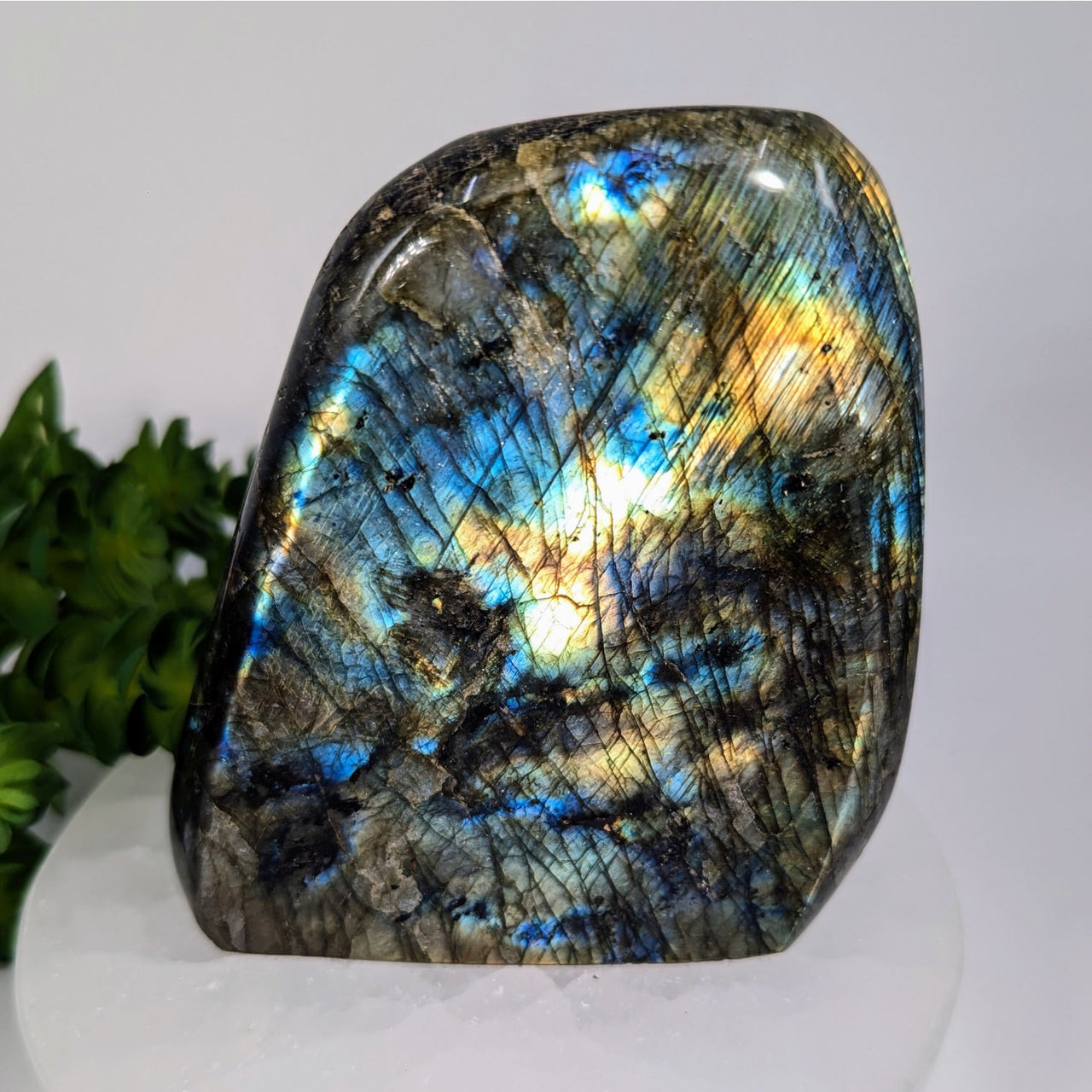 Polished 4-inch labradorite freeform stone BC0309 with blue-gold shimmer