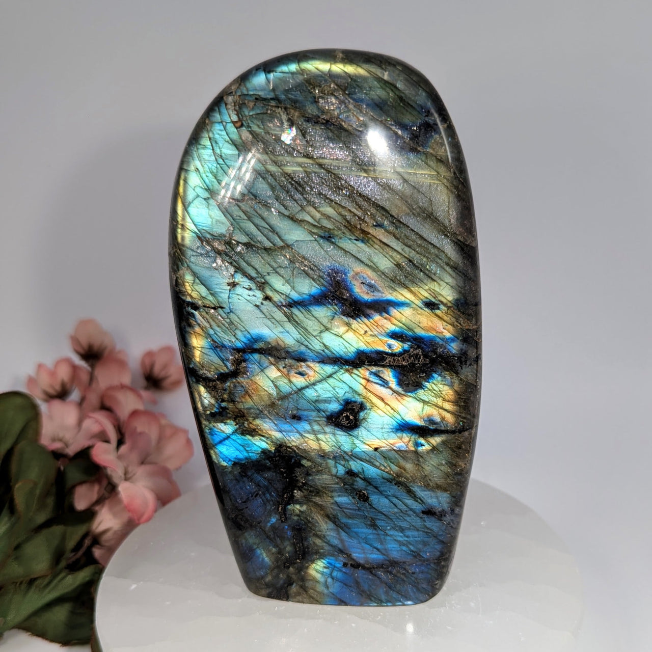 Polished 5.5’’ oval labradorite freeform #BC0654 with iridescent blue-green shimmer