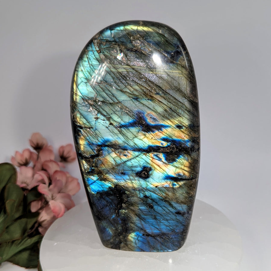 Polished 5.5’’ oval labradorite freeform #BC0654 with iridescent blue-green shimmer