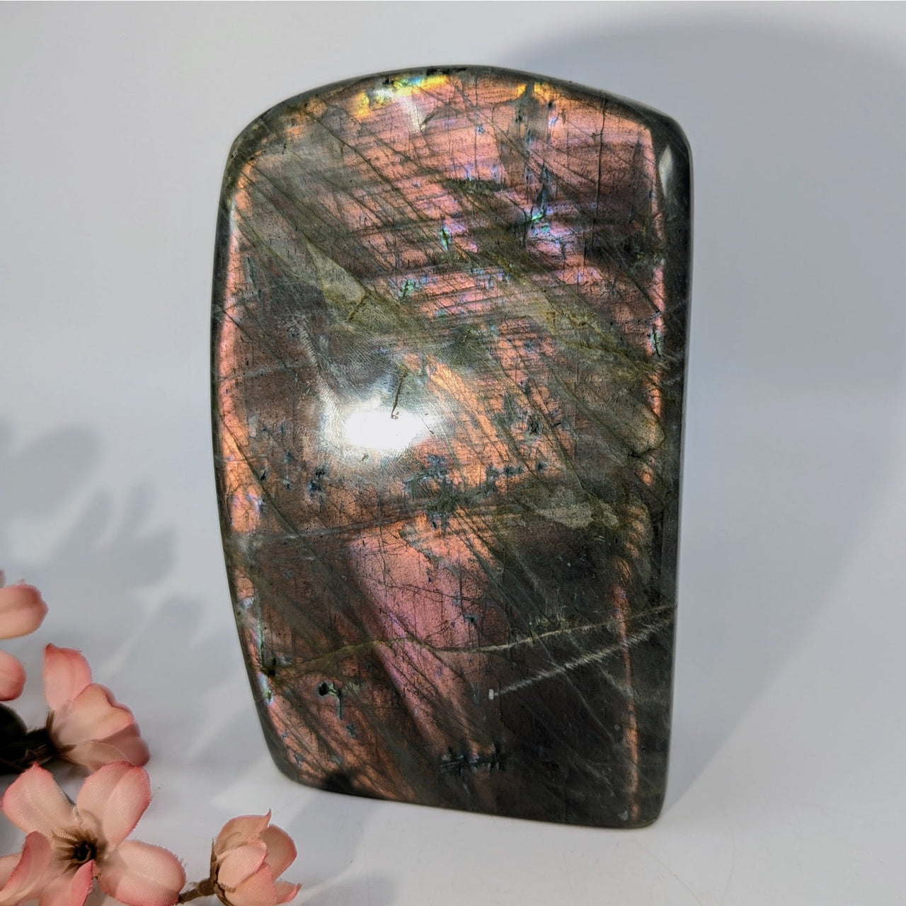 Labradorite 5.6’’ Freeform #LV9373 - $345