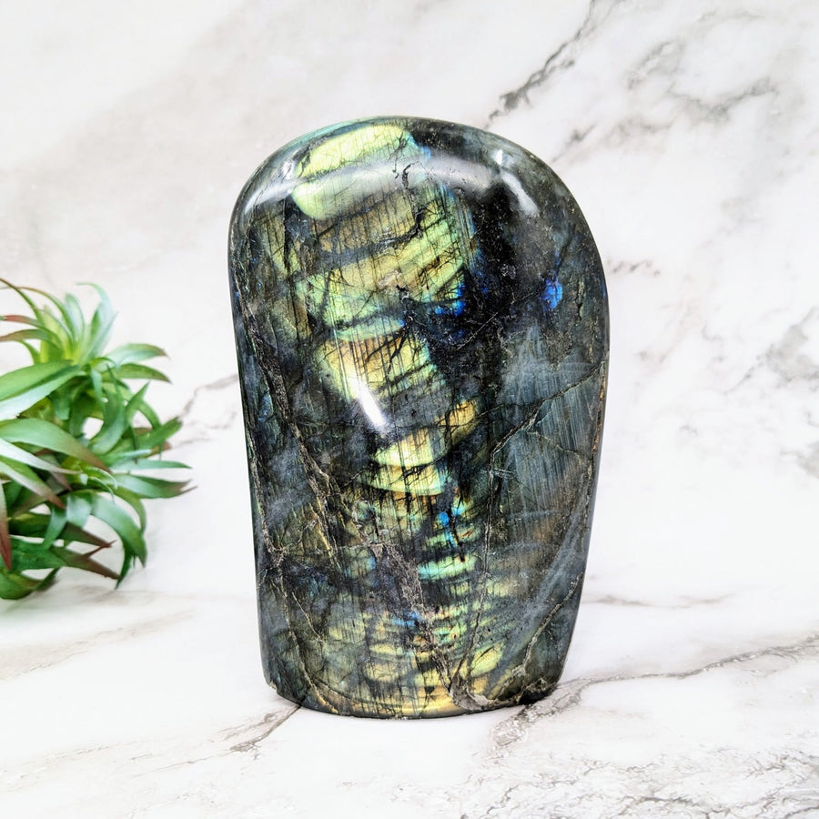 Green and black marble vase with green and blue pattern, Labradorite 5’ Freeform #LV4649