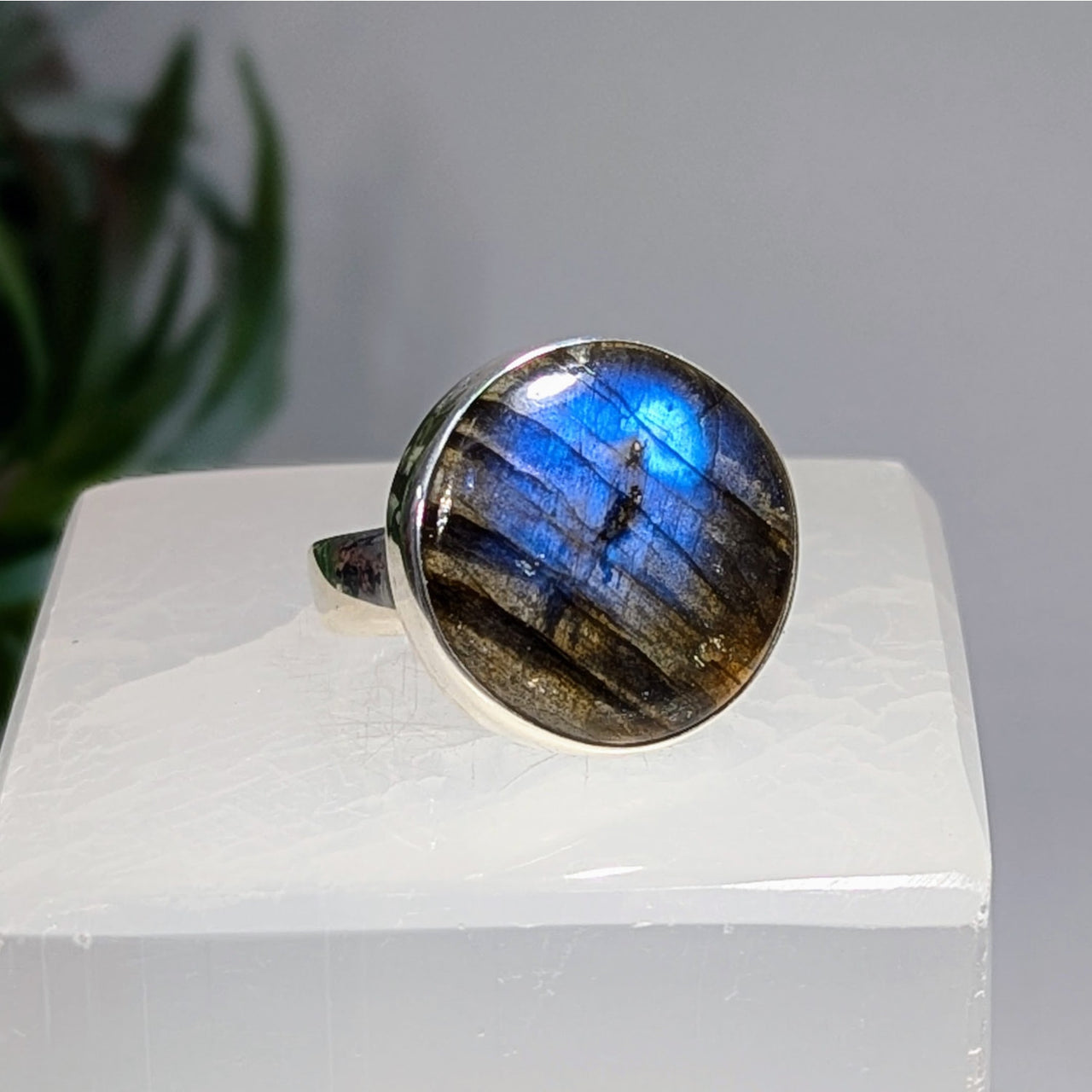 Labradorite Sz 10 Round Ring S.S. #LV9662 $95