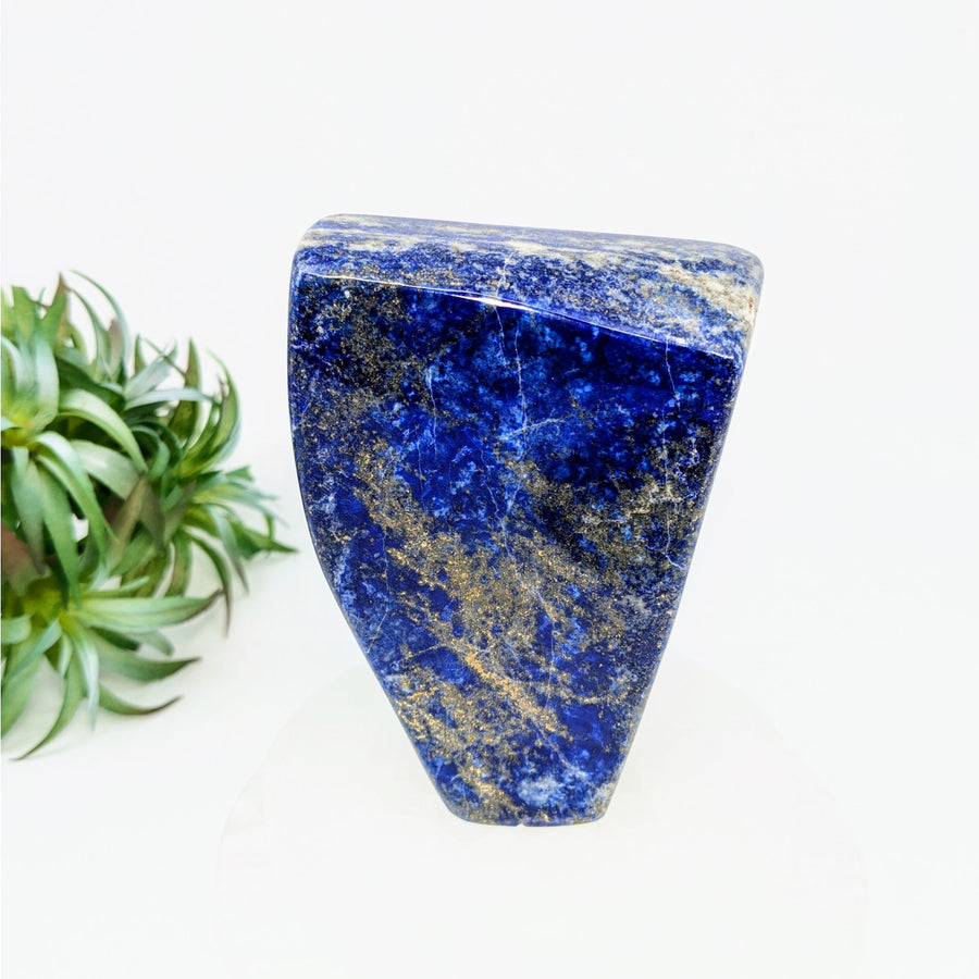 Lapis 3.8’’ Freeform #LV6325 - $115