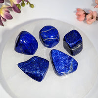 Five polished deep blue lapis lazuli tumbled stones with golden pyrite flecks on white plate, 1-1.5 inch, #BC0714