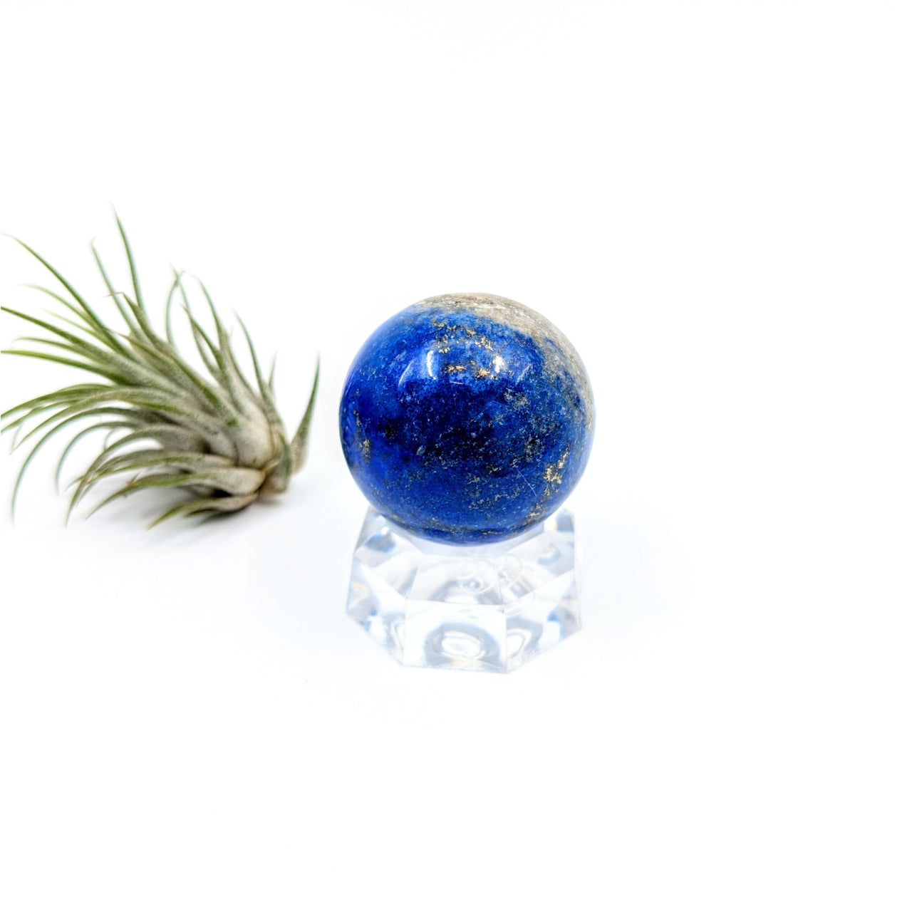 Blue Lapis Lazuli sphere on a clear crystal stand with an air plant beside it