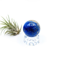 Thumbnail for Blue Lapis Lazuli sphere on a clear crystal stand with an air plant beside it