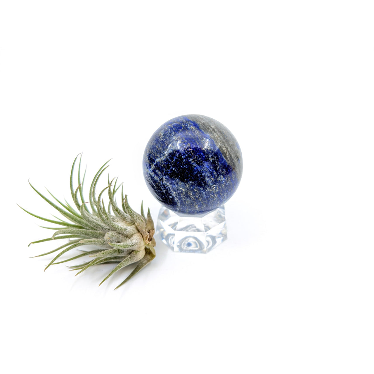 Lapis Lazuli 1.6’’ Sphere #LV6655 - $38