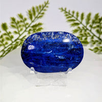 Lapis lazuli 2.5 inch palm stone #BC0876 with golden flecks on stand