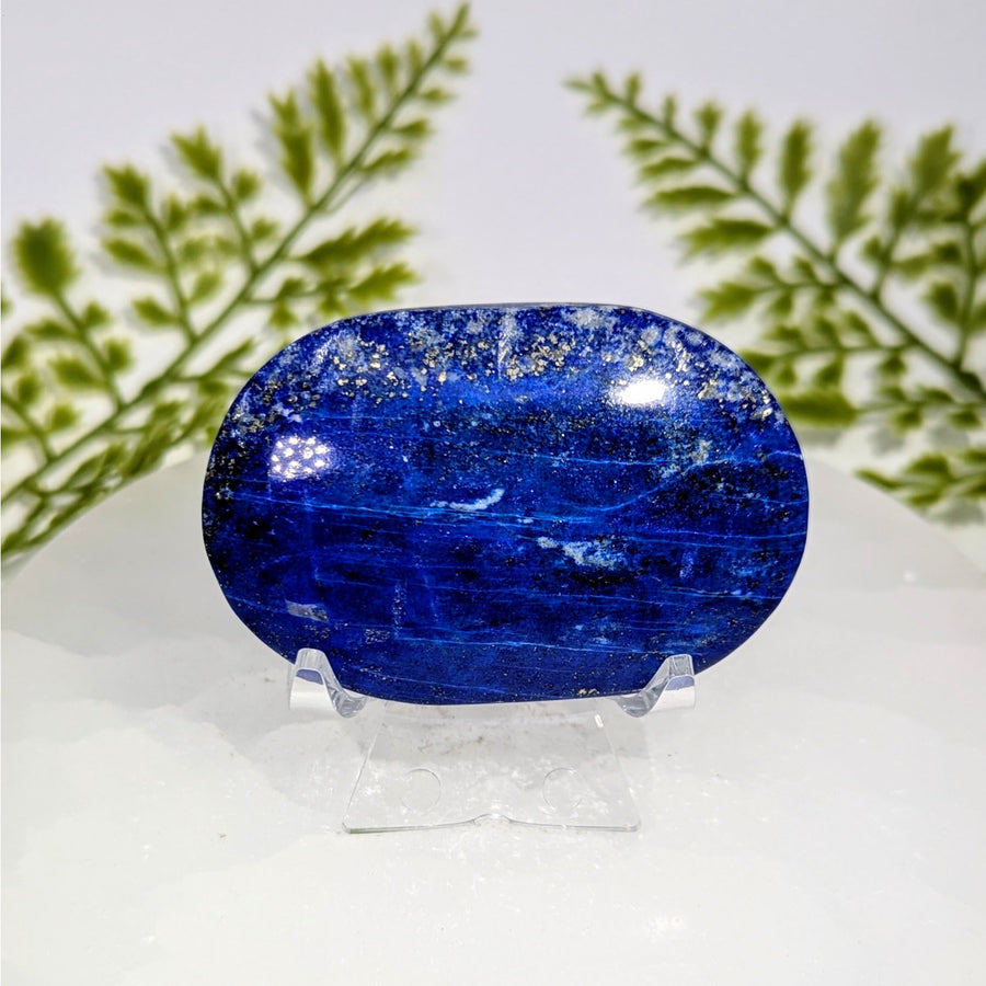 Lapis lazuli 2.5 inch palm stone #BC0876 with golden flecks on stand