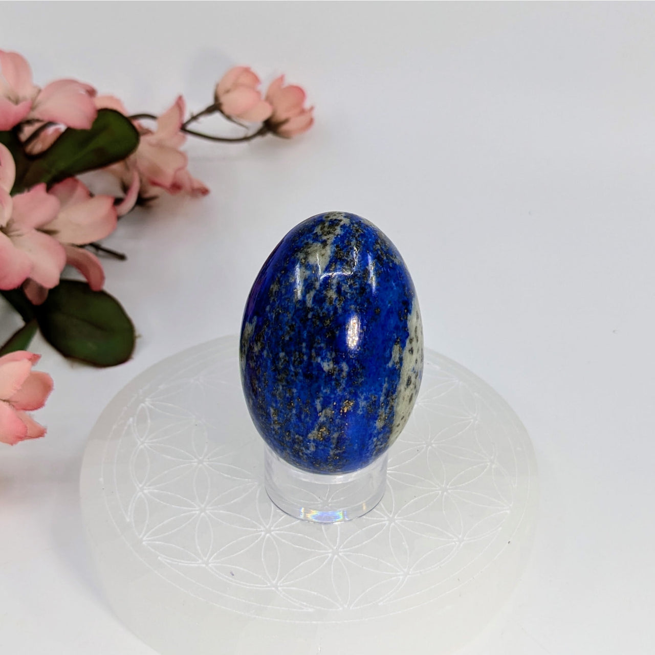 Polished Lapis Lazuli 2’’ Egg with golden pyrite inclusions on a clear stand