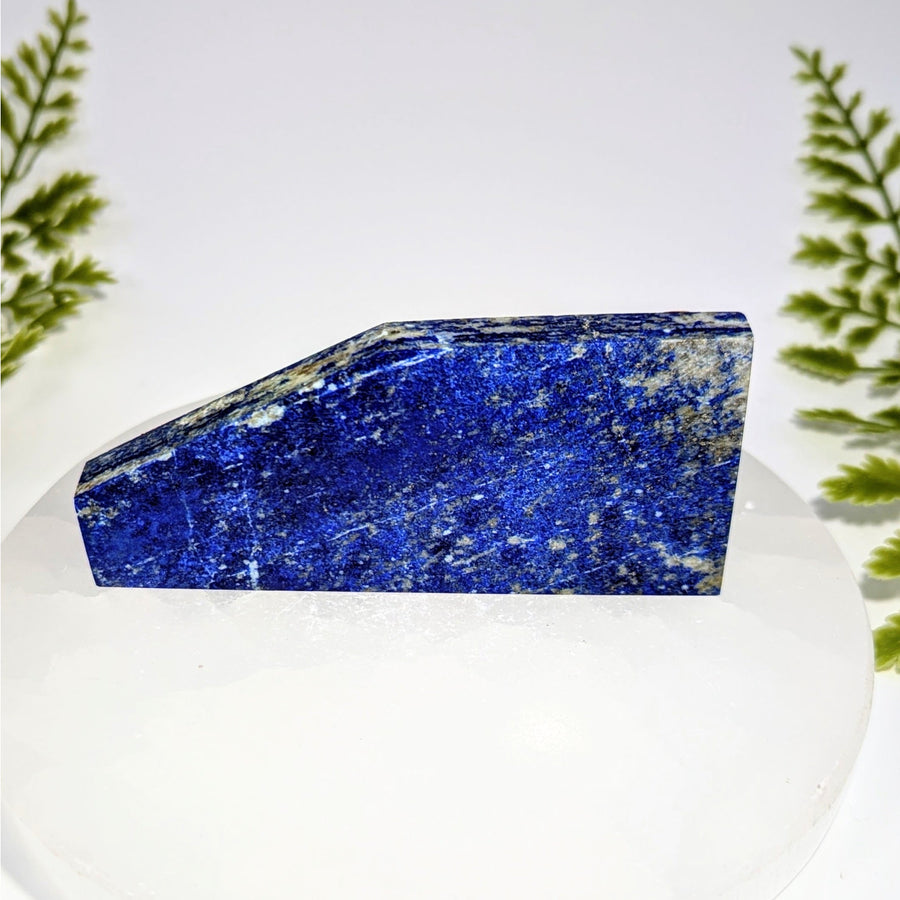 Polished deep blue lapis lazuli 3.75-inch slab #BC0846 with golden veining