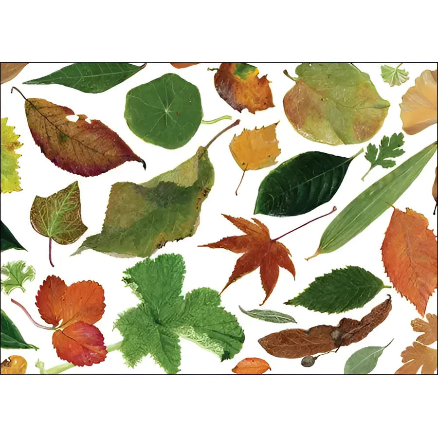 Leaves Blank Card #LV3710 - A bunch of leaves on a white background