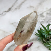 Thumbnail for Person holding Lemurian Citrine 2.8’ Quartz Point #LV4901 stone