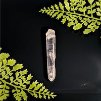 Lemurian Quartz 3.3’’ Point #BC1102 with clear tip and striations on dark foliage