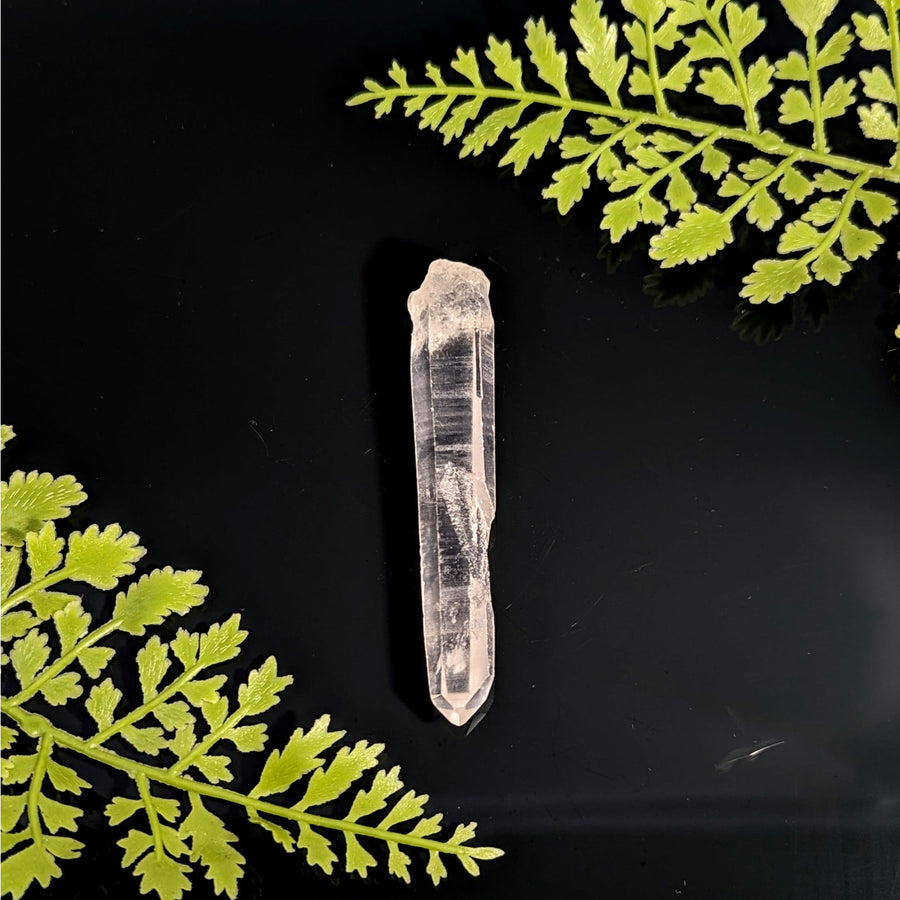 Lemurian Quartz 3.3’’ Point #BC1102 with clear tip and striations on dark foliage