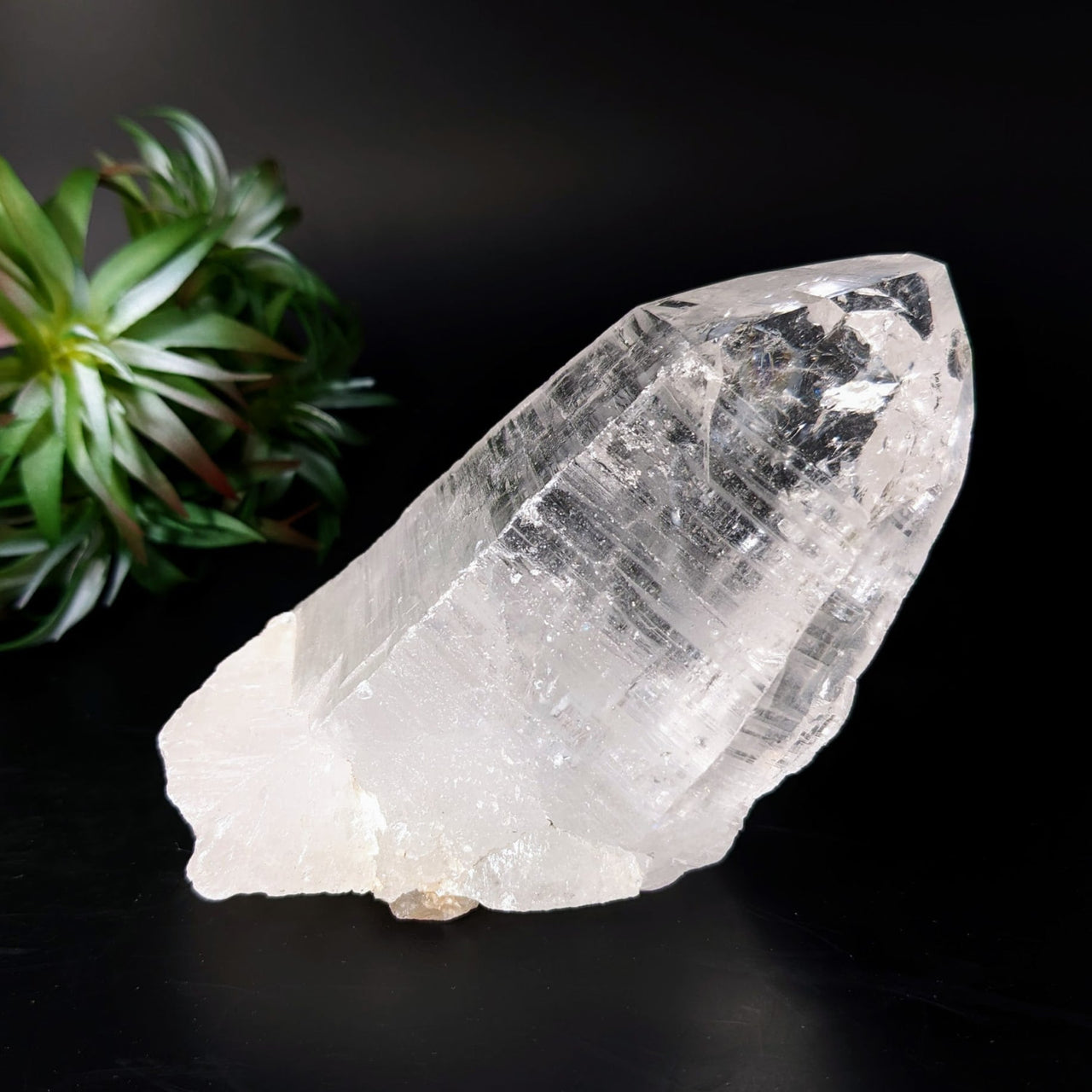 Lemurian Quartz 4.8’ Natural Point #LV4330 with clear and small quartz inclusions