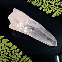 Translucent Lemurian Quartz 5.3 inch point #BC1104 with natural facets