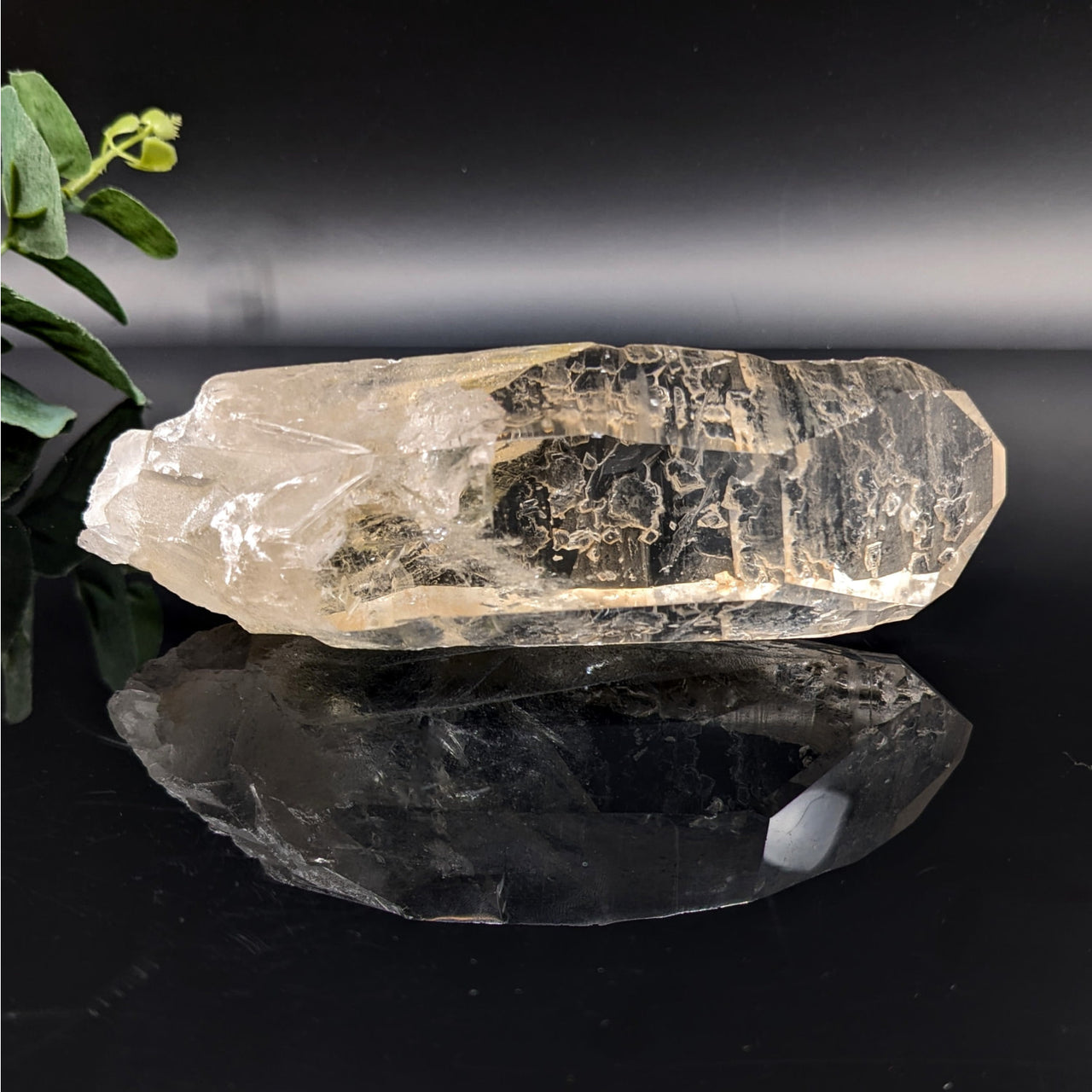 Lemurian Quartz 5.7’’ Point #LV6065 - $88