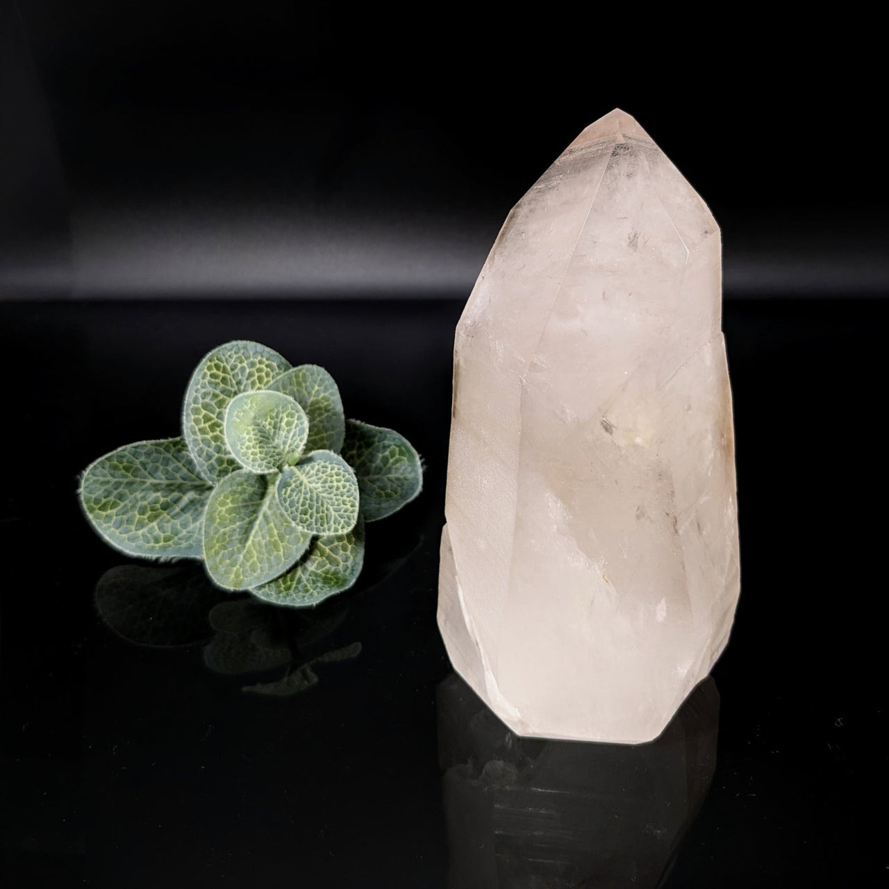 Lemurian Quartz Semi-Polished with Green Plant - 856g, #SK2041 - Crystal Healing Stone