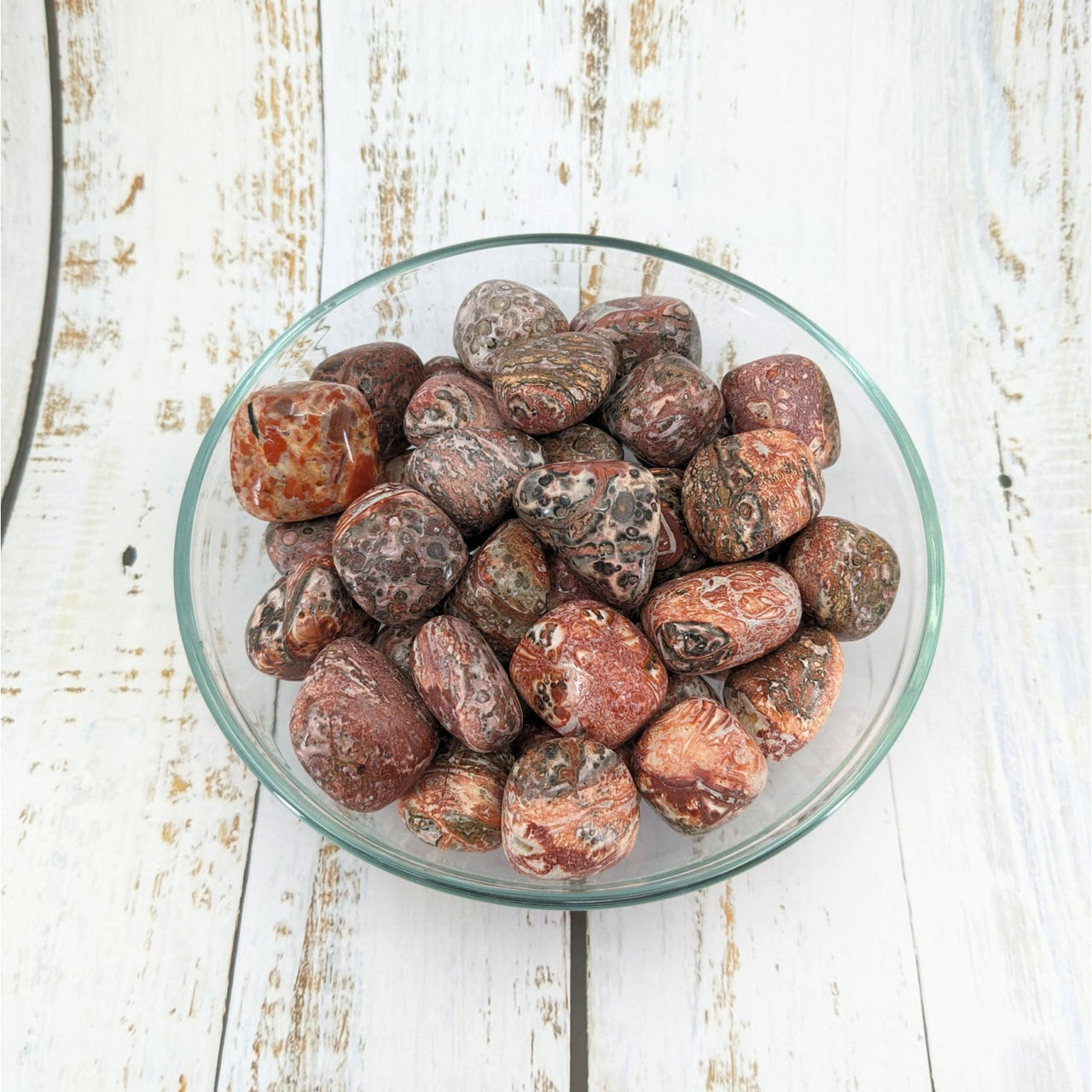 Bowl of 14-19g Leopardskin Jasper tumbled stones #LV0801, red and black marble pebbles