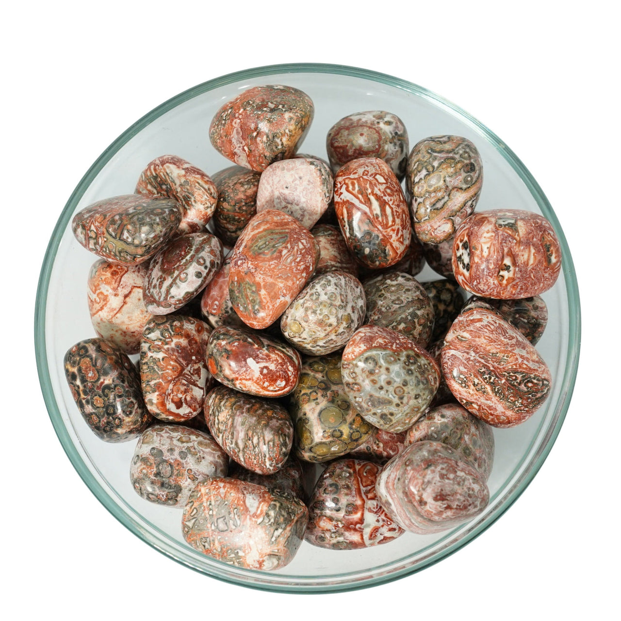 Leopard Skin Jasper Tumbed (14-19g) #LV0801