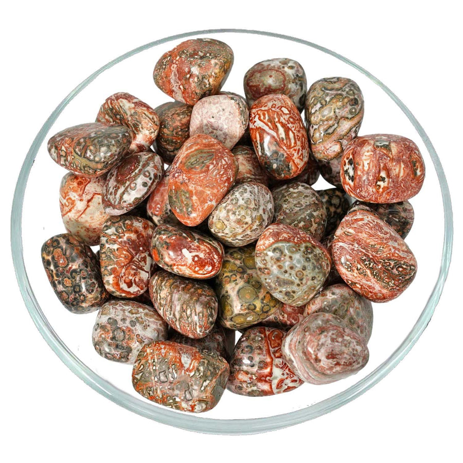 1 Leopardskin Jasper Tumbled Stone #LV0801 - $4.95