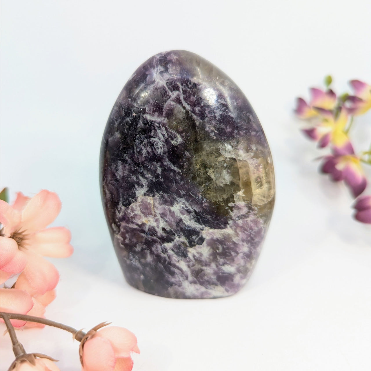 Polished purple Lepidolite crystal displaying vibrant hues and smooth freeform shape