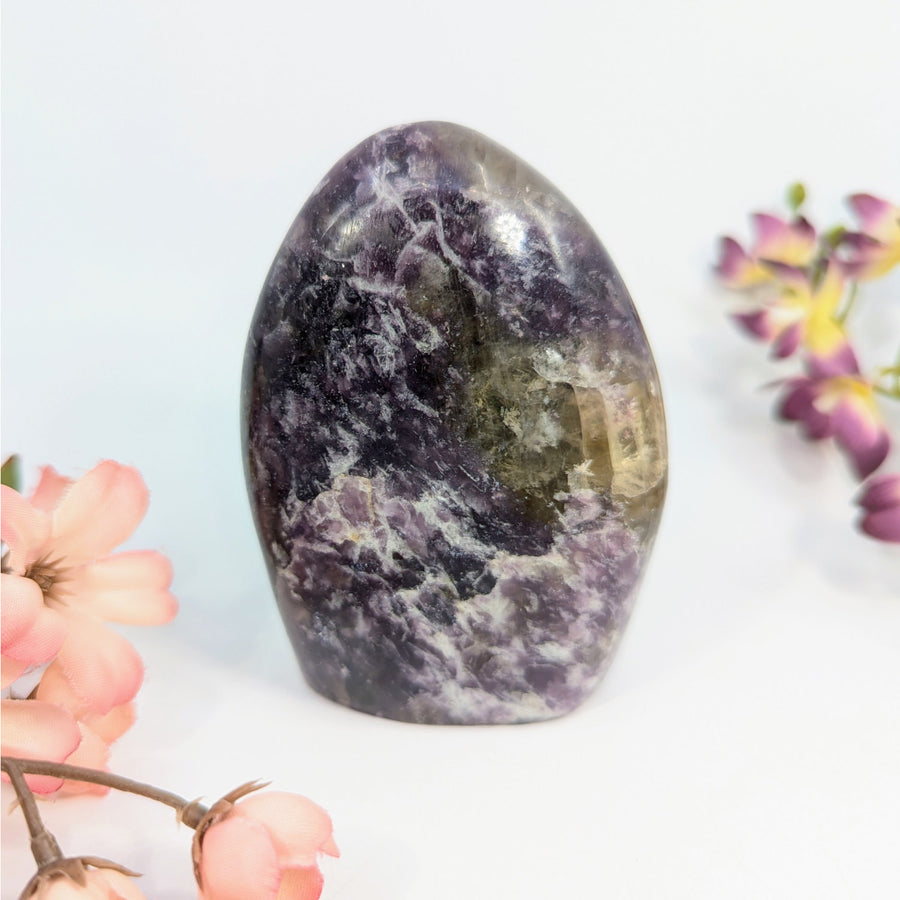 Polished purple Lepidolite crystal displaying vibrant hues and smooth freeform shape
