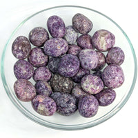 Thumbnail for Lepidolite.8 - 1.3’’ Tumbled Stone #LV5850 - $4.95