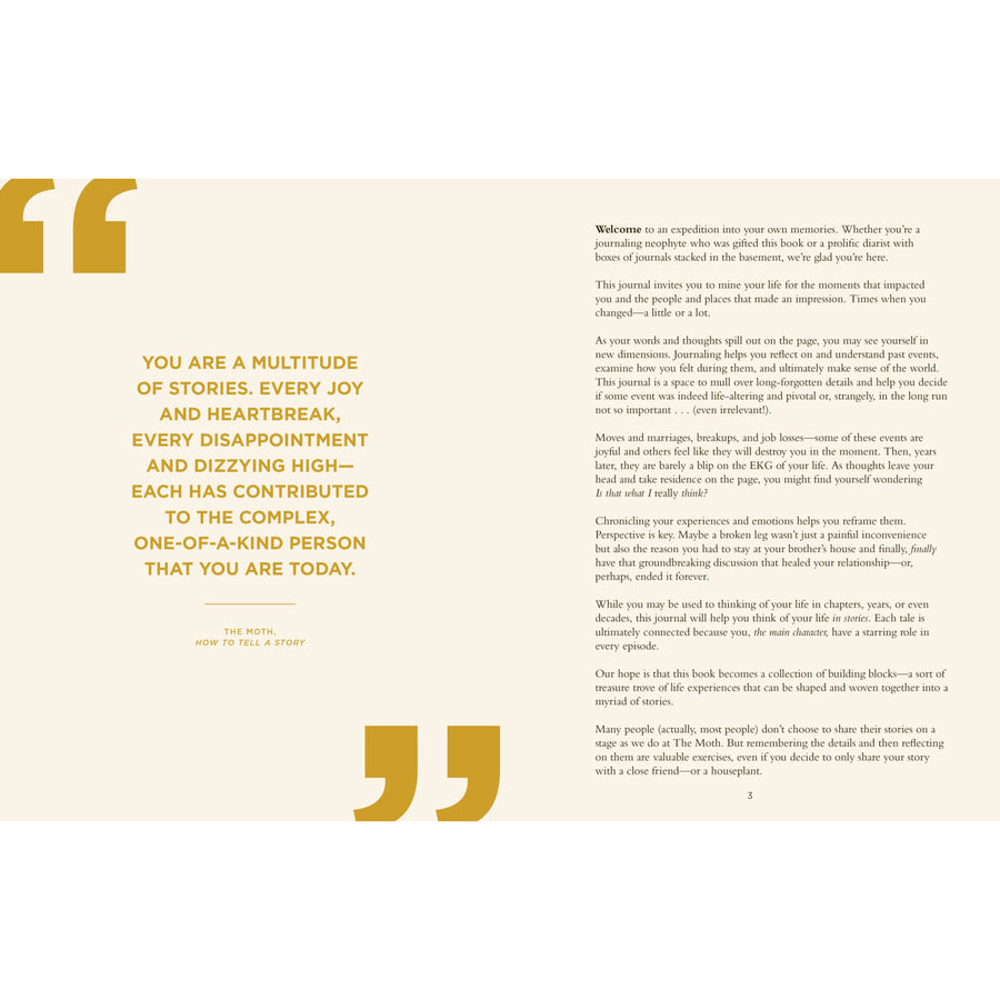 My life in stories book featuring gold foil embossed text and decorative marks on white pages for jewelry and crystals