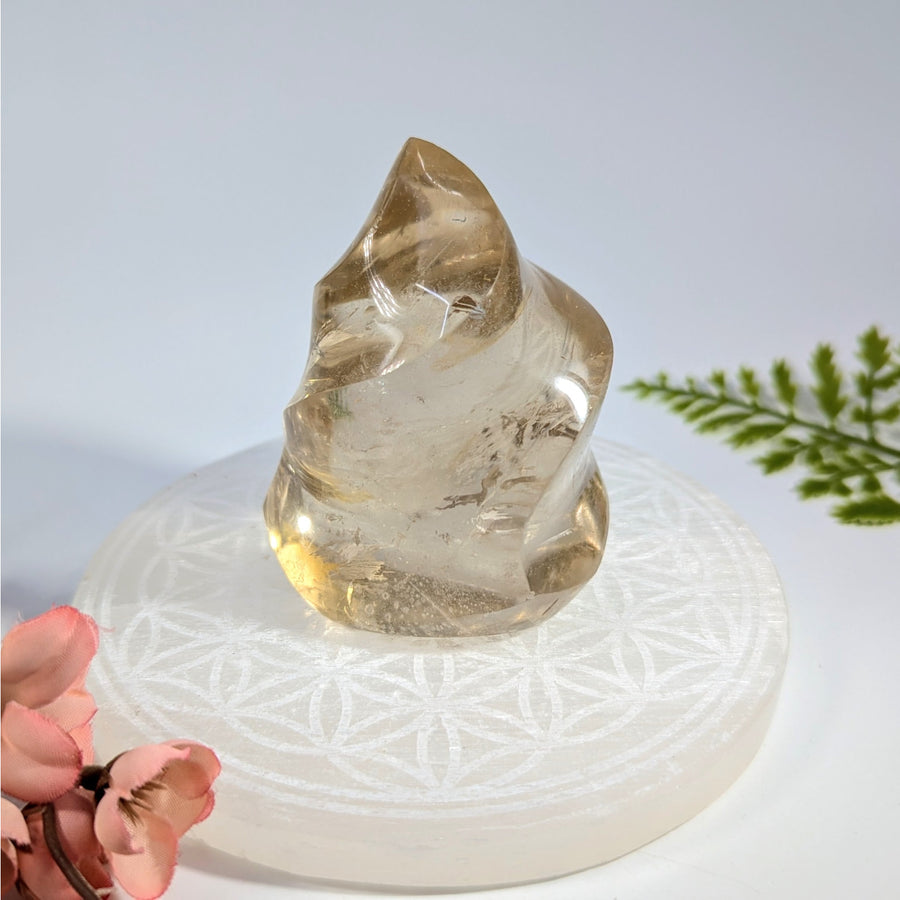 Light smoky quartz 2.9in flame freeform on selenite plate #BC1122