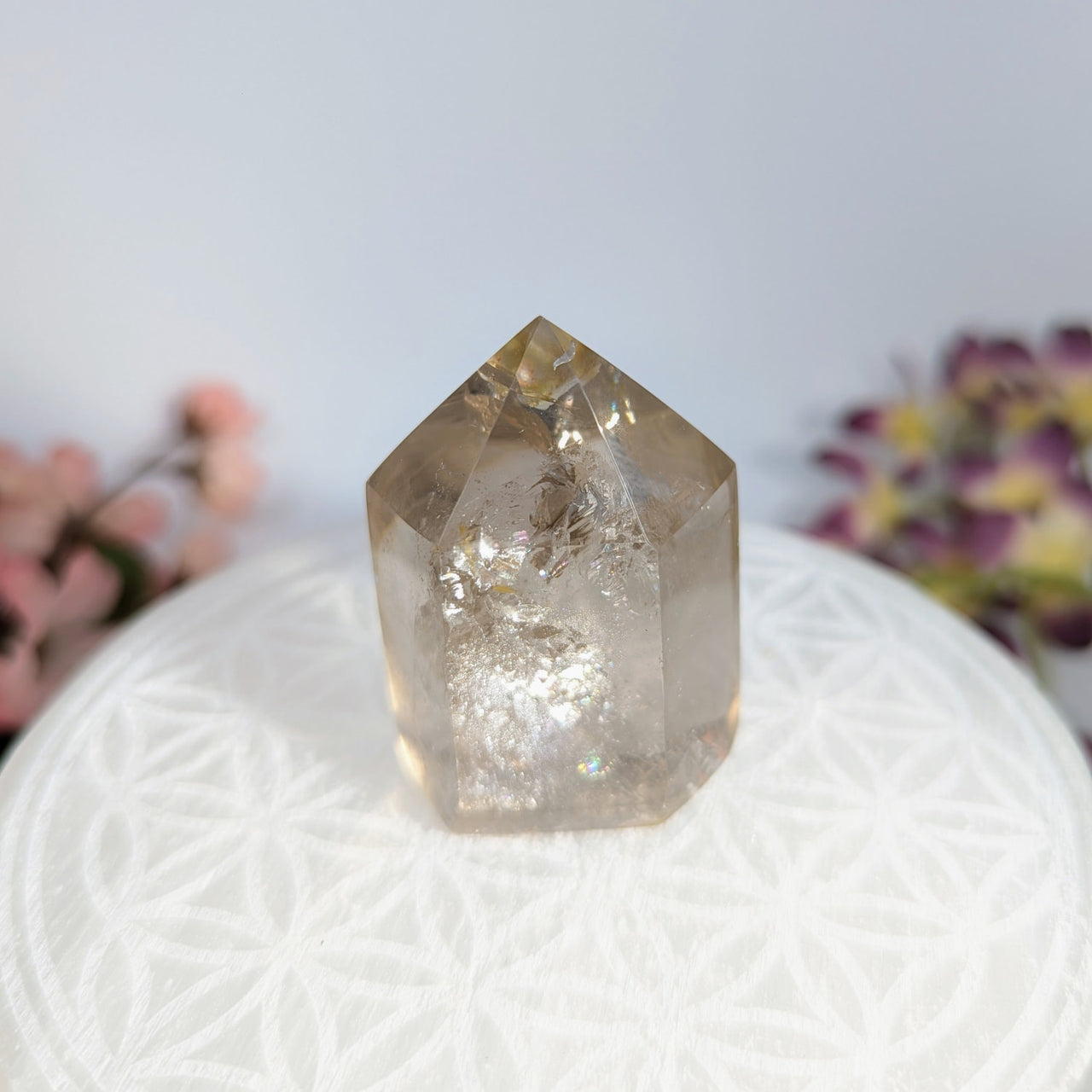 Translucent brown crystal point of Light Smoky Quartz 2 Generator #LV8716