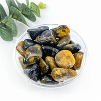 Thumbnail for Lionskin Jasper.7-1.8’’ Tumbled Stone #LV6023 - $4.95