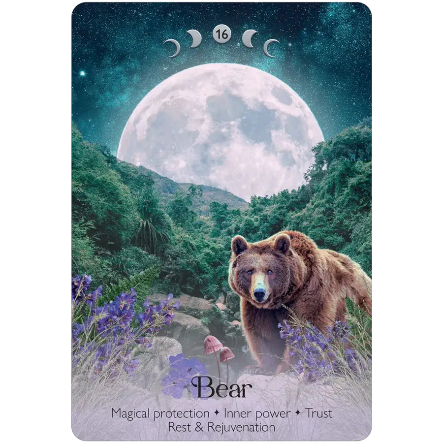 A brown bear with a white muzzle stands in a forest beneath a detailed moon on lunar magic oracle deck card