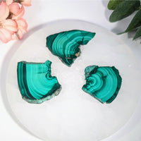 Three teal-green malachite mini slab slices with banding on white plate