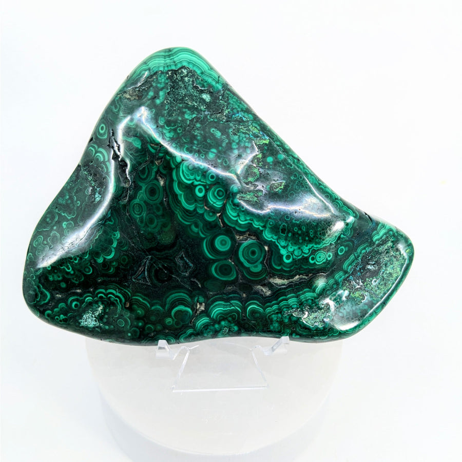 Malachite 5’’ Polished Specimen #LV6597 - $145
