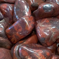 Mary Ellen Stromatolite Tumbled #S010 $7.95