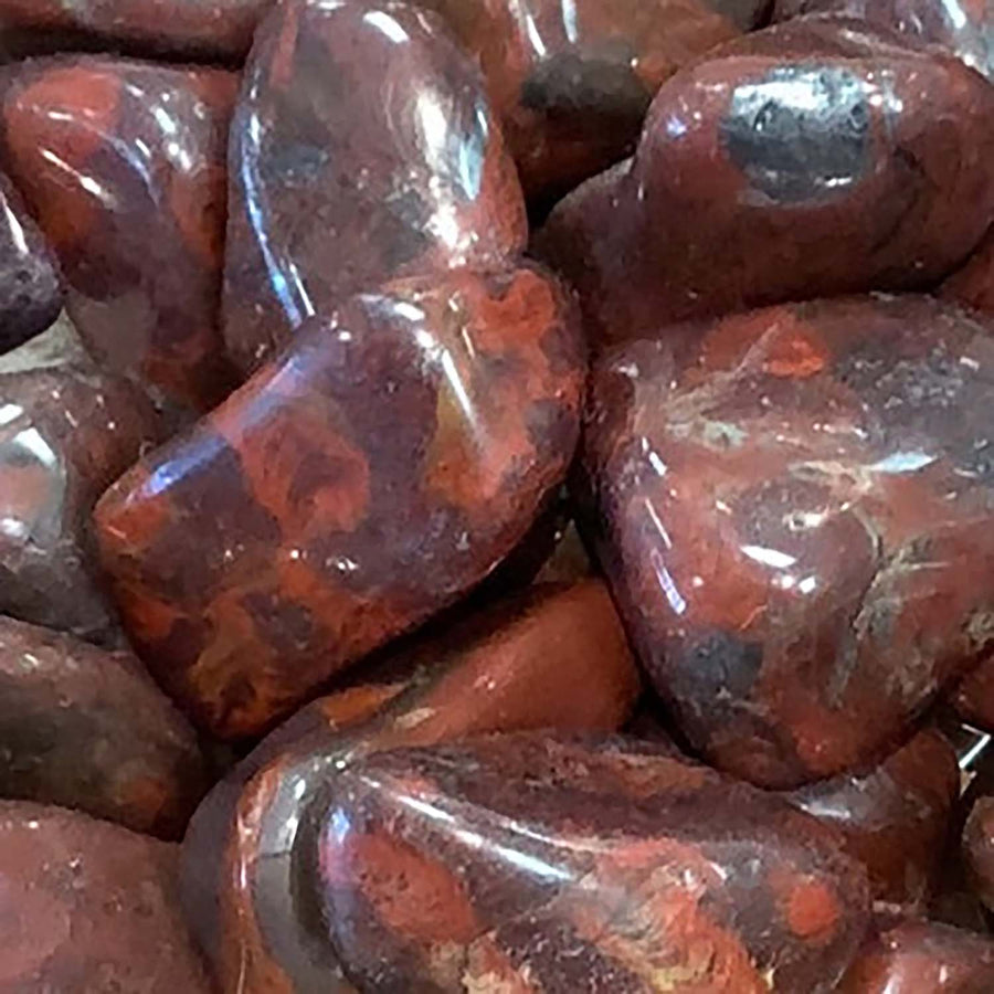 Mary Ellen Stromatolite Tumbled #S010 $7.95