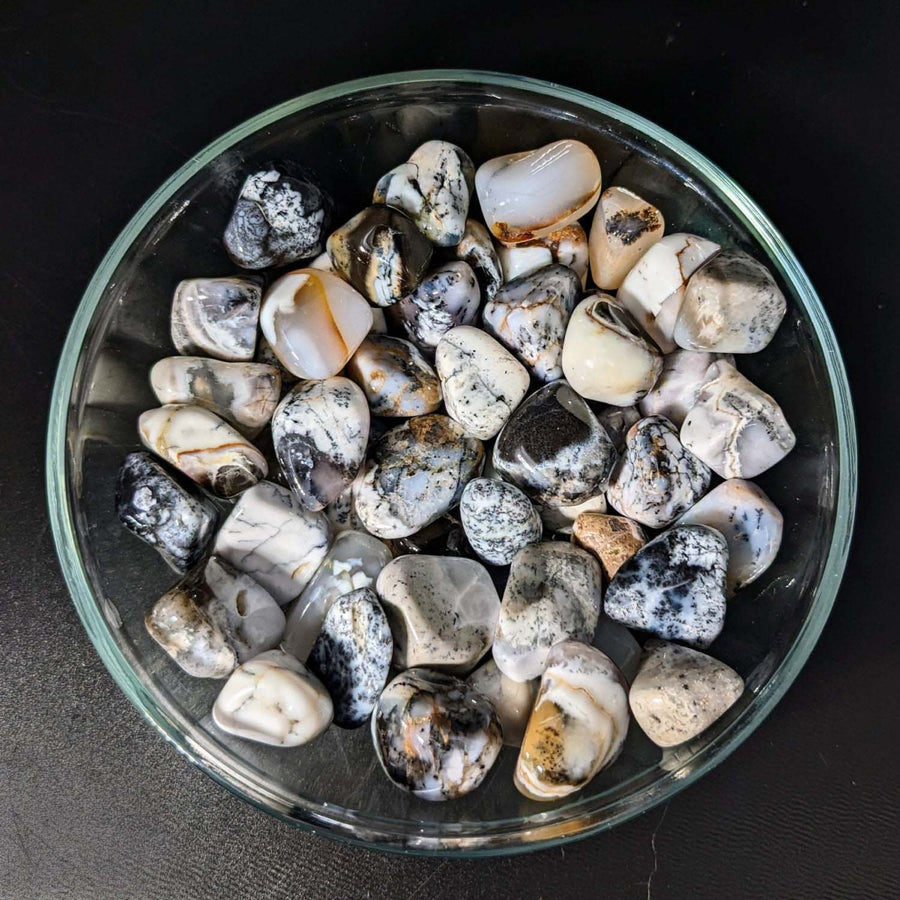 Bowl of shells with Merlinite aka Dendritic Agate Tumbled Stone #LV1635 for display
