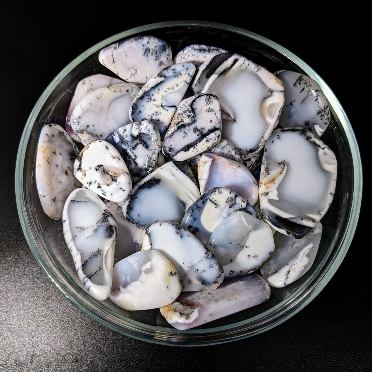 Flat-shaped Merlinite AKA Dendritic Agate Slice (1-2’) #LV2256 in a bowl of oyster shells