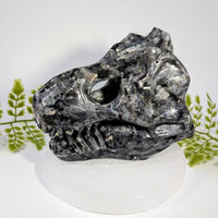 Merlinite Gabbro 5.2-inch T-Rex skull carving on acrylic stand